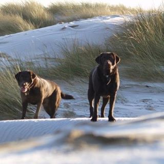 Jane Bennett's avatar