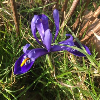 Karen Barrett's avatar