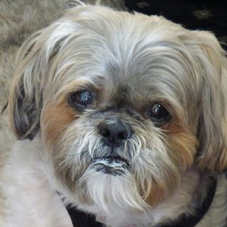 Stephen Driver's avatar