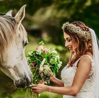 Elaine Howard's avatar