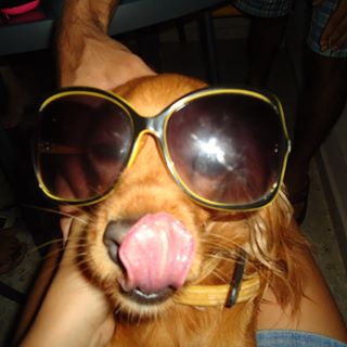 Alex M Nicolaides's avatar