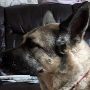 Norman Small's avatar