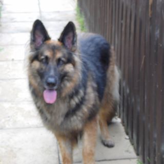 Jeff Spencer's avatar