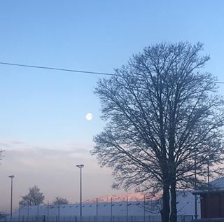 Moonie Mina's avatar