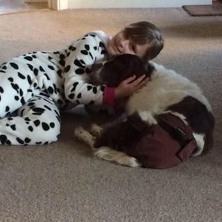 Joy Williams's avatar