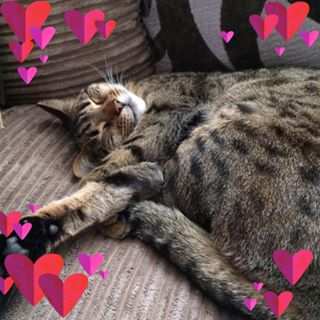 Louise Bohana's avatar