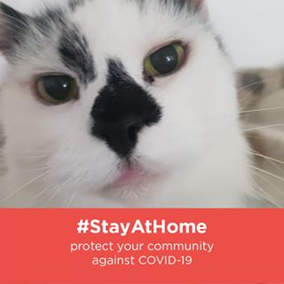 Irene Joyce's avatar