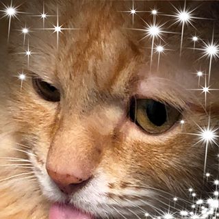 Linda Pope's avatar