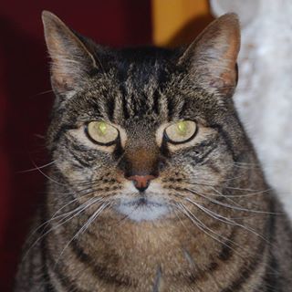 Margaret Smyth's avatar