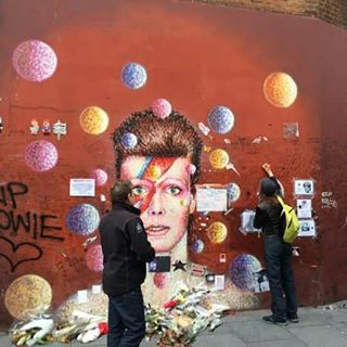 Stella Rose's avatar