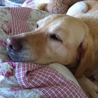 Lorraine Meehan's avatar