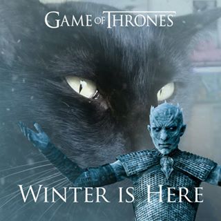 William Stacey's avatar