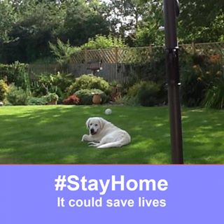 Pat Broadhead's avatar