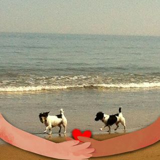 Lynne French's avatar