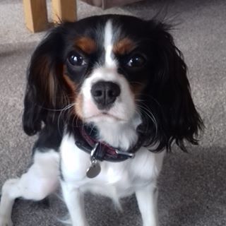 Barbara Abbot's avatar