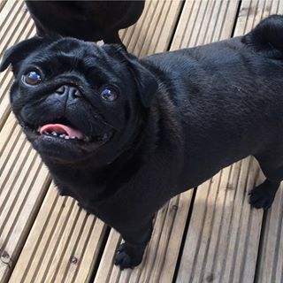 Carrie Finlay's avatar