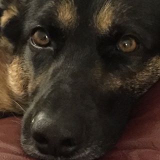 Carol Sleith's avatar