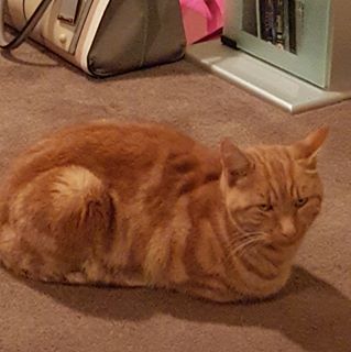 Karen Asplin's avatar