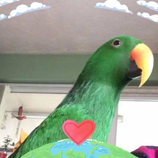 Mary A Payne's avatar