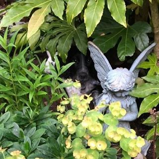 Natalie Starling-Booth's avatar