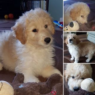 Eunice Grey's avatar