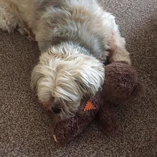 Ian Johnson's avatar