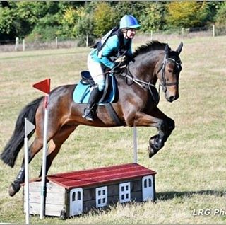 Theresa Vibert-Smith's avatar