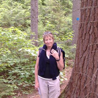 Sarah Jennie Birch's avatar