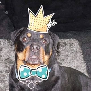 Sandra Millington's avatar