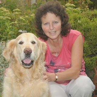 Judy Stanford's avatar