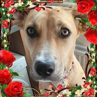 Kath Bradbury's avatar