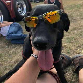 Sam Pearson's avatar