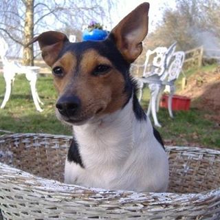 Penie Cartwright's avatar