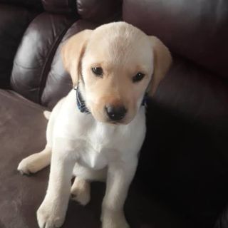 Patrick Turner's avatar