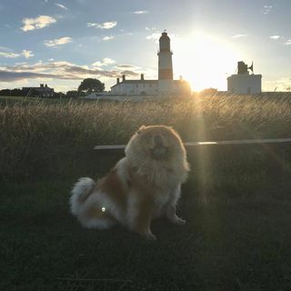 Wendy Brewer Wright's avatar