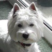 Lillian Totterdell's avatar