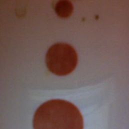 Steven Grange's avatar