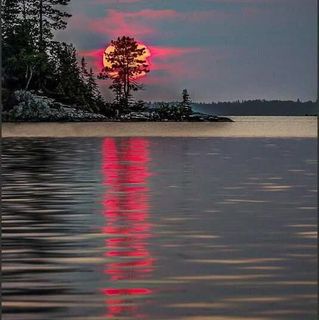 Eugene Darvell's avatar