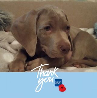 Simon Jones's avatar