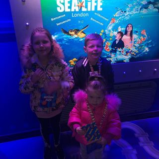 Robert Murt's avatar