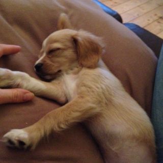 Kevin Walsh's avatar