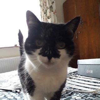 Denise Humphrey's avatar