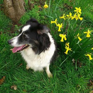 Linda Leaman's avatar