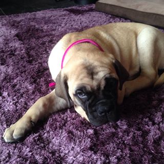 Elaine Annett's avatar