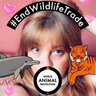 Tara Lee Vee's avatar