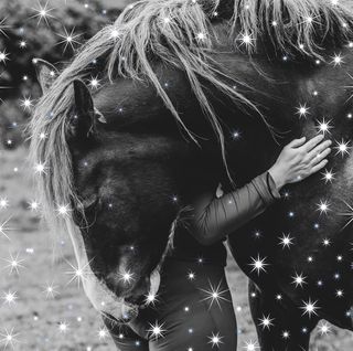 Laura Mathieson's avatar