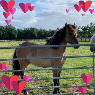 Lisa Callister's avatar