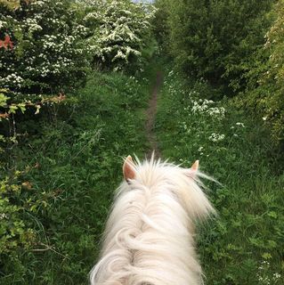 Nicola Allen's avatar