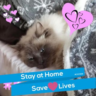 Heather Rutherford's avatar