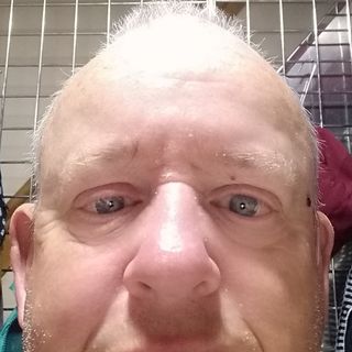 Michael Brear's avatar